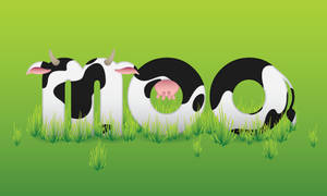 Png Moo