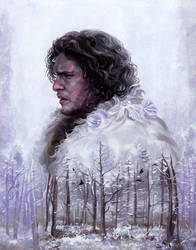 Jon Snow by fresco-child