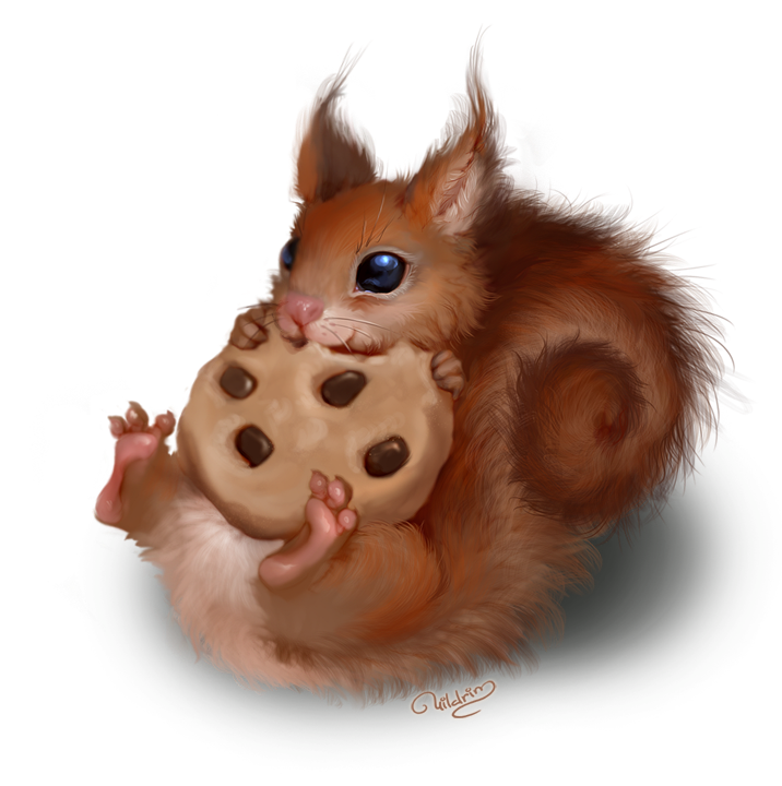 Cookie! by uildrim Cookie! by uildrim