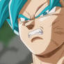 Goku's anger expression