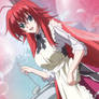 Rias Gremory the cute cook