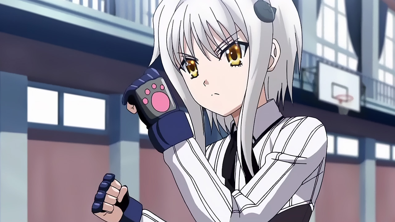 Pin on Highschool DxD Koneko