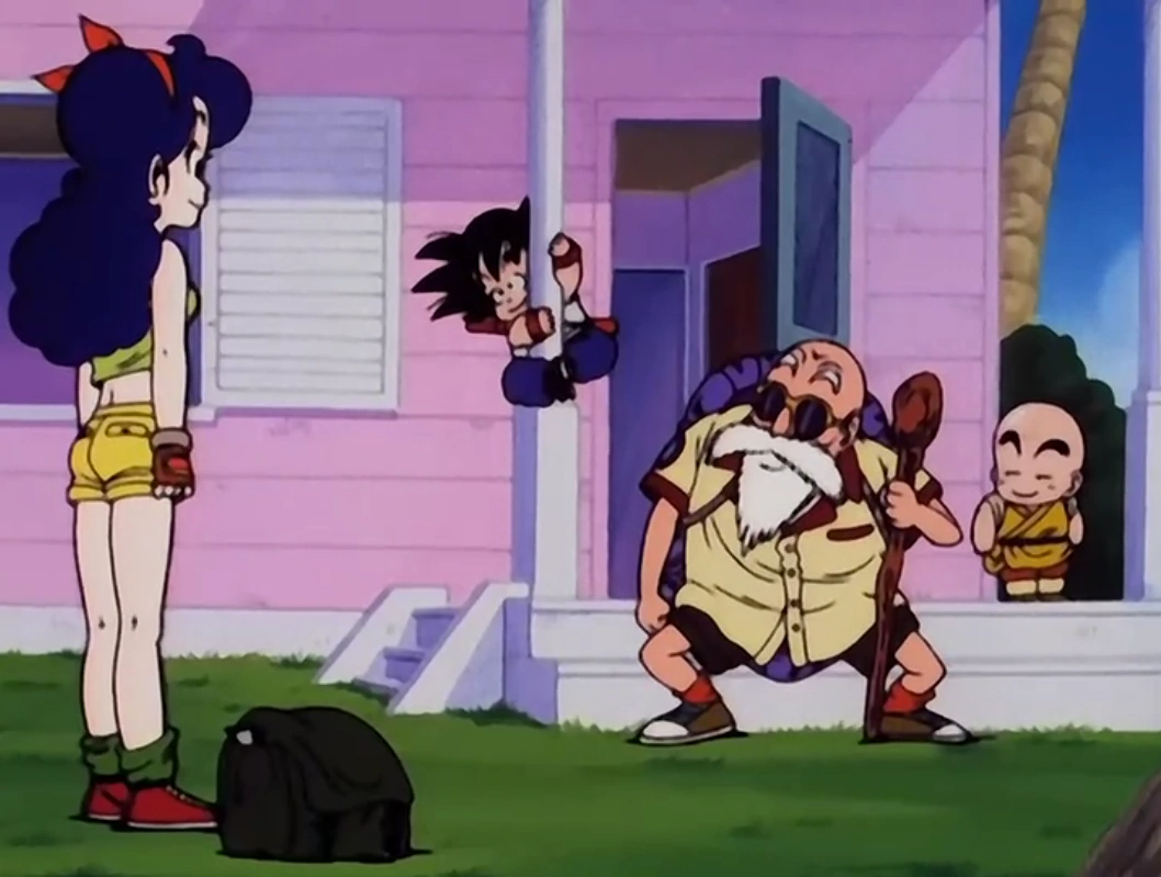 Master Roshi And Launch