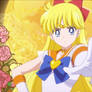 Super Sailor Venus doing an amazing pose