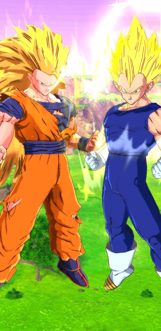 Ssj3 Goku and Ssj2 Vegeta Lf #ssj3goku #ssj2vegeta #buusaga #kidbuu