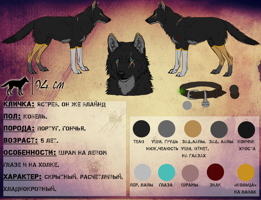 Hawk Ref Base Hawk ref by LumenHunter on DeviantArt