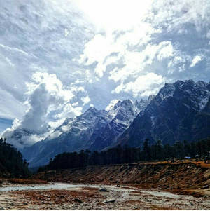 Yumthang Valley 