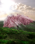 Sakura tree canvas 8 by 10 inch by runordie90