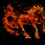 Fire horse 2