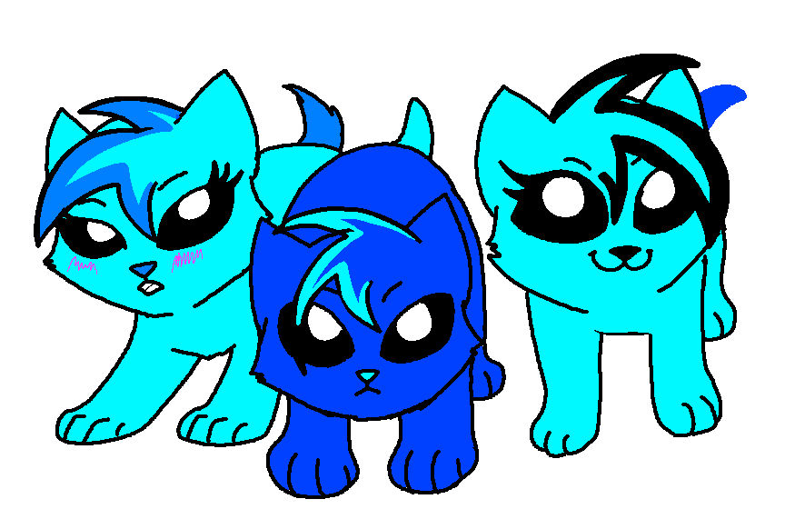 random kitty by Wildfire0 on DeviantArt