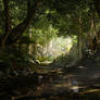 Forest Rivulet