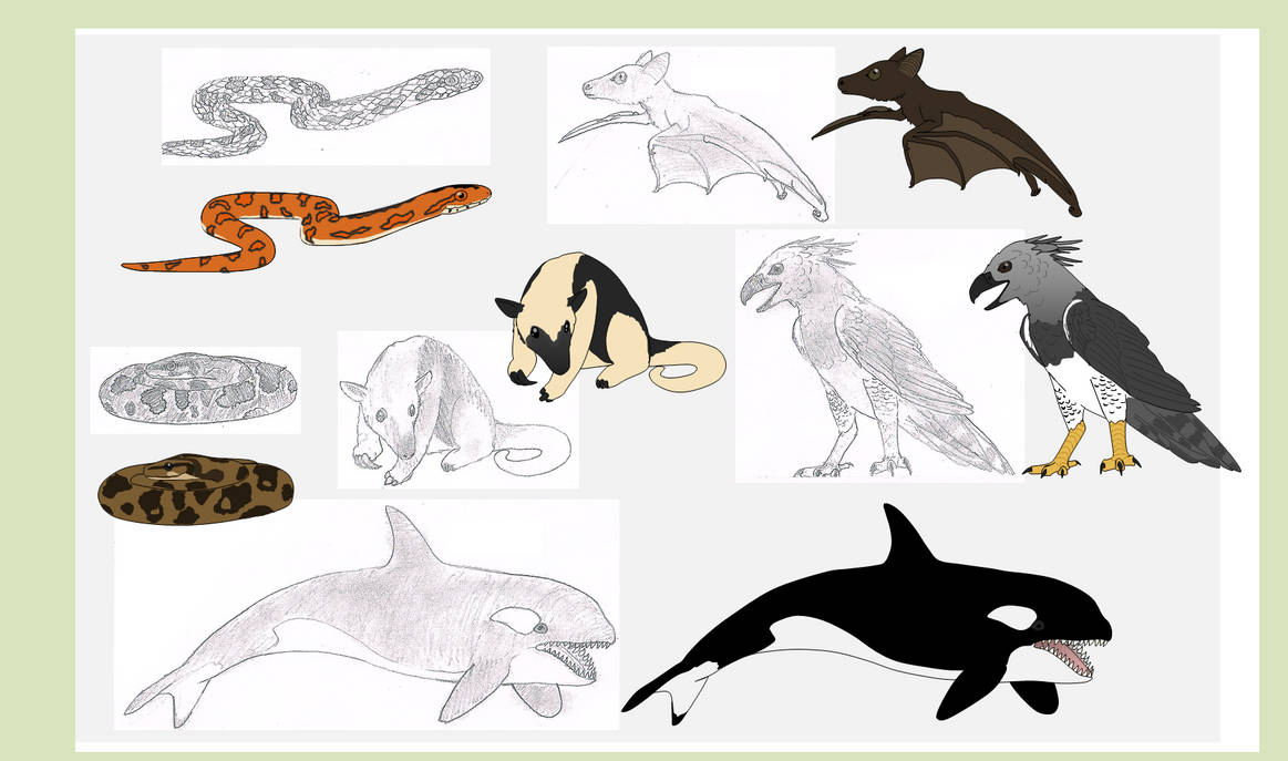 All Animals Deviantart Animals by OtherworldyFauna on DeviantArt