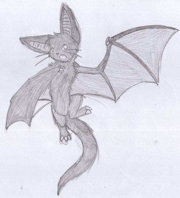 Batcat Drawing BatCat by KLFoxglove on DeviantArt