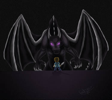 Vs The Enderdragon