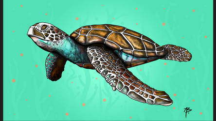 Sea Breeze Honu