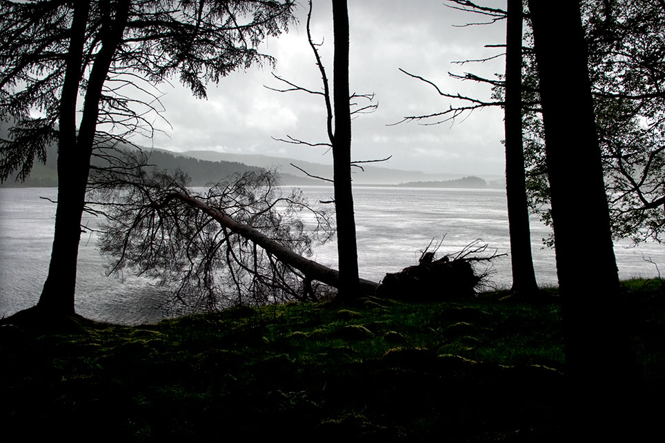 Catcleugh Squall