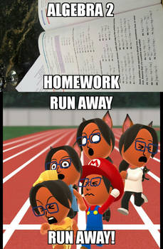 Algebra Homework