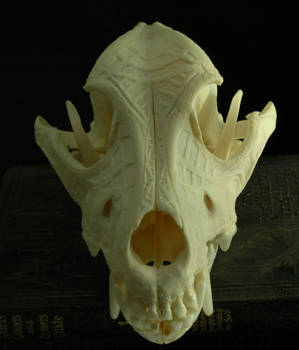 Dog skull, engraved, abstract