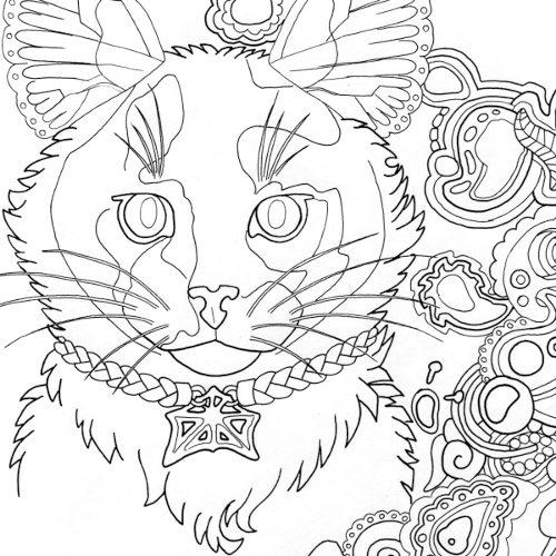 Tortoiseshell Adult Coloring Page By Grygon On Deviantart