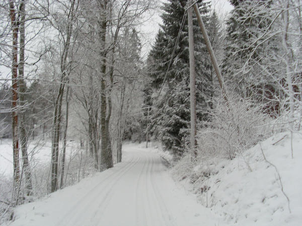 Snowy Road 2