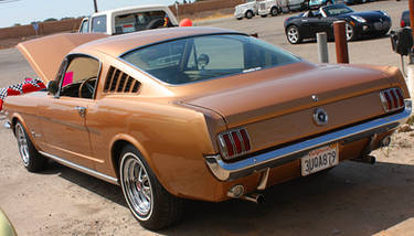 Sweet Mustang