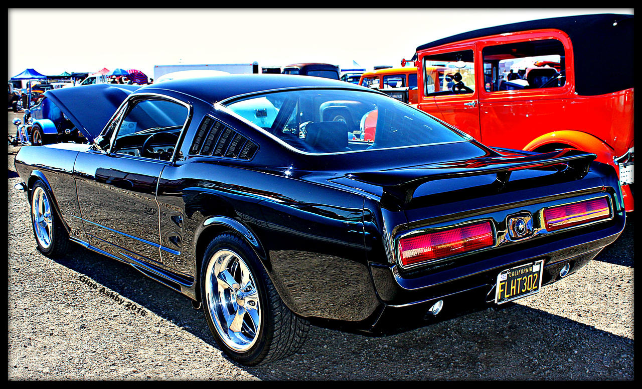 Fastback Goodness