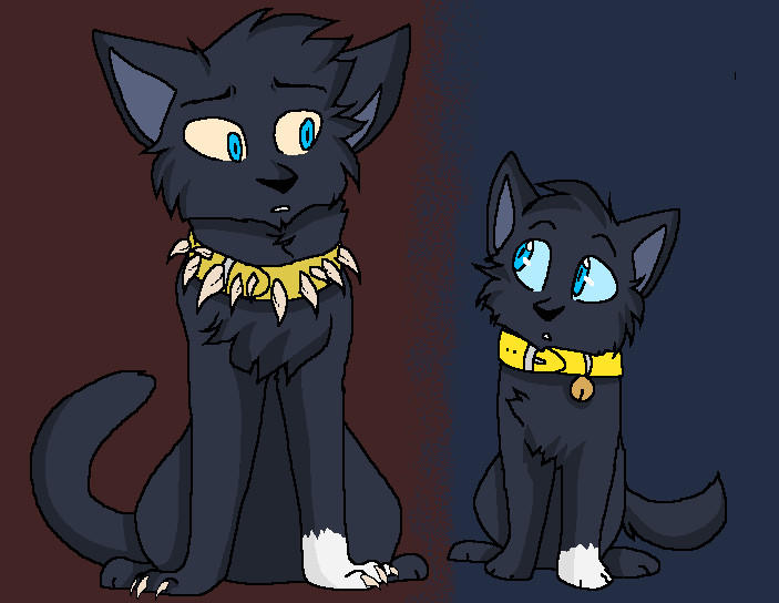 Warrior cats Scourge by BubblesFun123 on DeviantArt