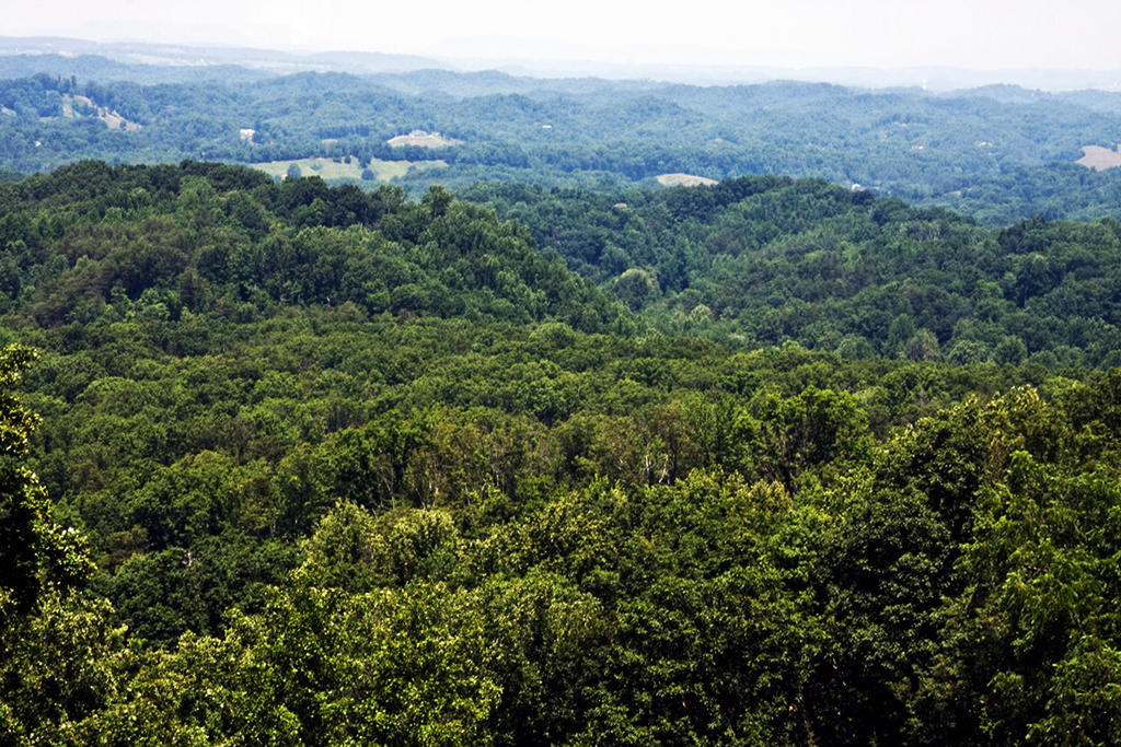 Dupont Community by RustyRoot on DeviantArt