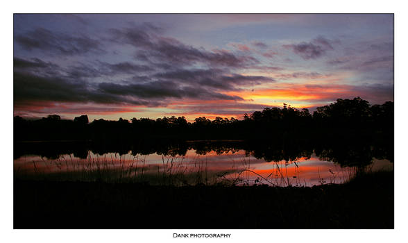 pet dam sunset