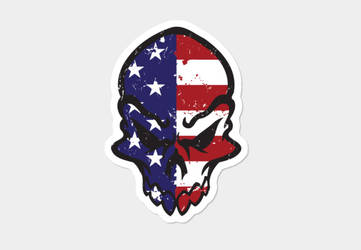 USA SKULL