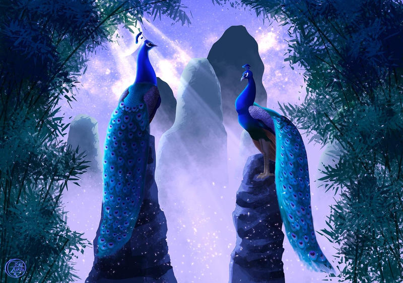 Peacocks under the moonlight