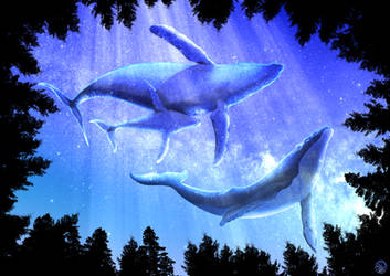 Celestial Whales