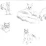 Kitty Pencil Sketches 1