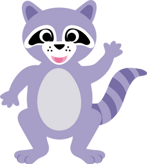 Raccoon PNG
