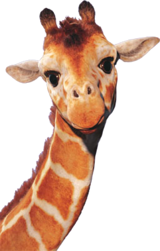 Geoffrey the Giraffe PNG 4 by Collegeman1998 on DeviantArt