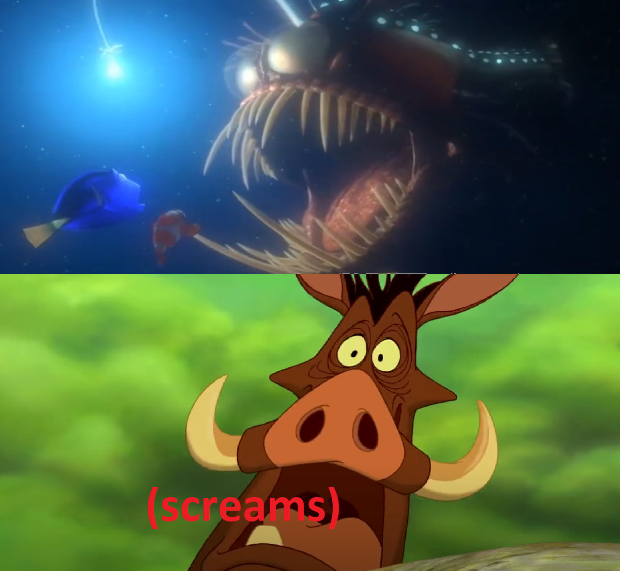 Scared Fish In Finding Nemo