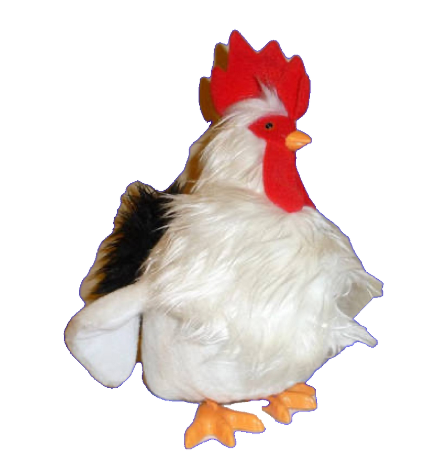 Rikki Chicken PNG 2 by Collegeman1998 on DeviantArt