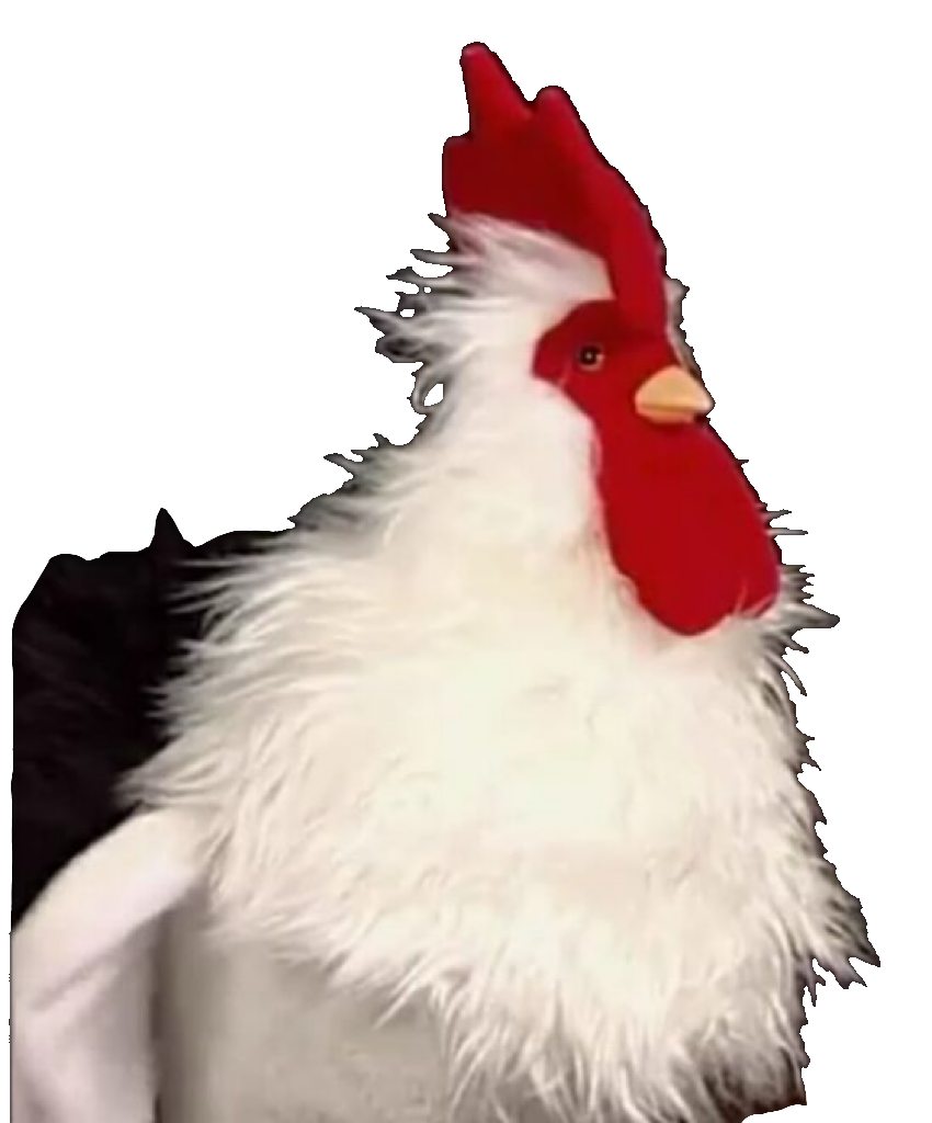 Rikki Chicken PNG 3 by Collegeman1998 on DeviantArt