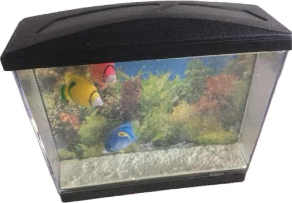 Aqua Fun Fish Tank PNG by Collegeman1998 on DeviantArt
