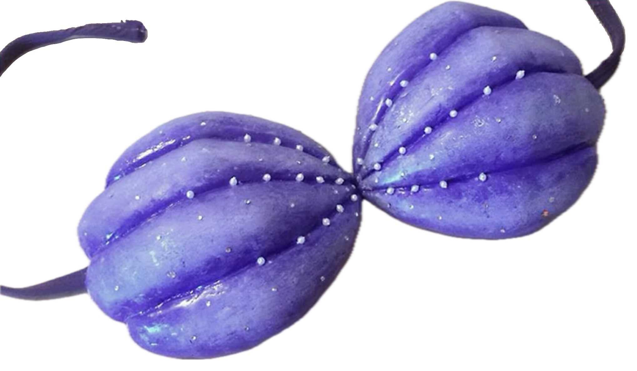 Shell Bra Deviantart Ariel's SeaShell Bra in Real Life PNG by Collegeman1998 on DeviantArt
