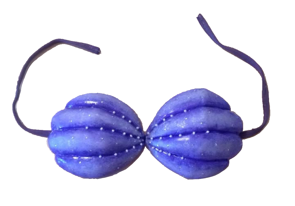 Shell Bra Deviantart Ariel's SeaShell Bra in Real Life PNG 2 by Collegeman1998 on DeviantArt