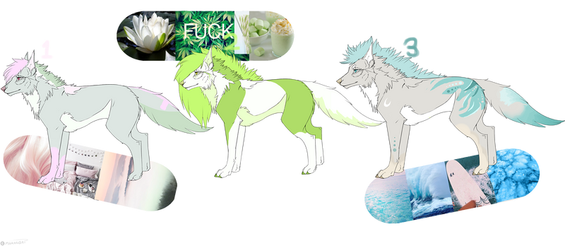 Spring Wolfie Adopts (70 Points Each) ALL OPEN.