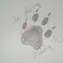 In Loving Memory of Cinnamon