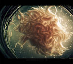 Parasites by nikolayhranov