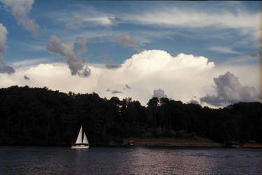 Sailboat on the Lake 