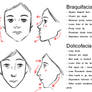Facial Patterns