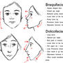 Facial Patterns