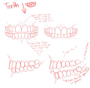 Teeth