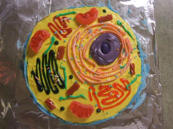 Animal Cell Cake by arrinsoup on DeviantArt Animal Cell Cake by arrinsoup on DeviantArt