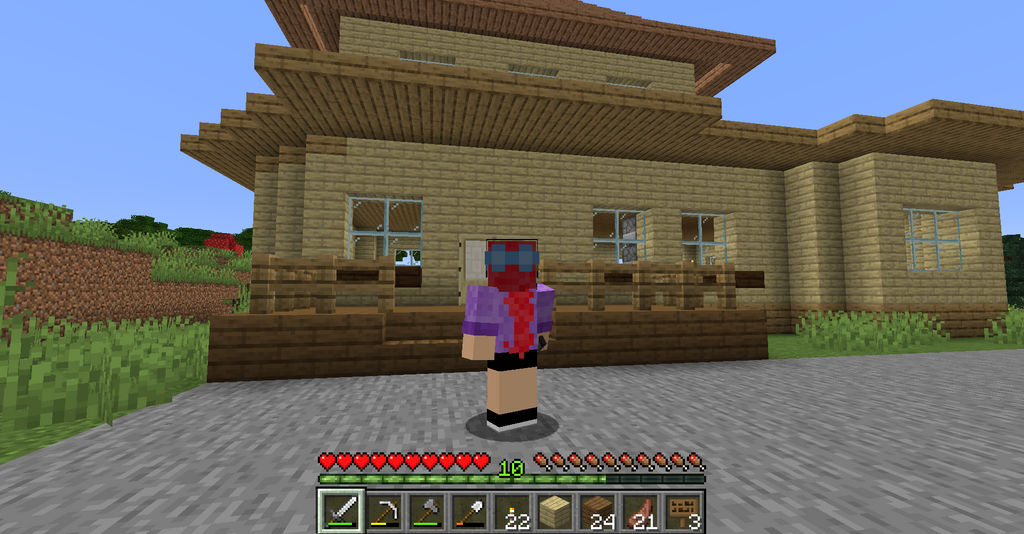 My Minecraft Skin Back by HopegamesSerenity on DeviantArt